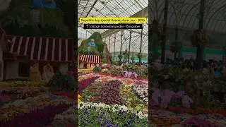 2026 Republic day special flower show 🇮🇳🌺❤️ | #shorts