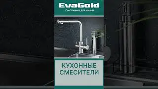 Обзор кухонных смесителей EvaGold