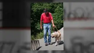 Service Dog Training La Jolla CA