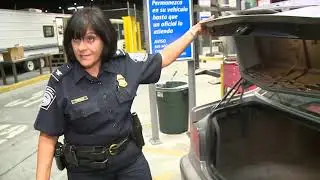 Smuggling Fake Dreams