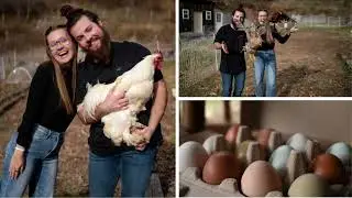 What We've Learned: Raising 50 Chickens