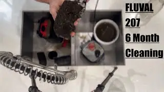 Cleaning a Fluval 207 after 6 Months!