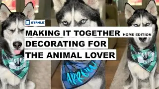 How to Make a Pet Bandana with Heat Transfer Vinyl - Making It Together Home Edition