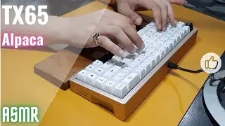 TX65 v2 | Alpaca v2 switch | Soundtest | DBMK