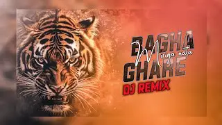 Bagha Ghare Miriga Nata - Tiger | Dj Remix | Odia Ut Mix Song | Odia Viral Song |Dj VickyX YTAUDIO 