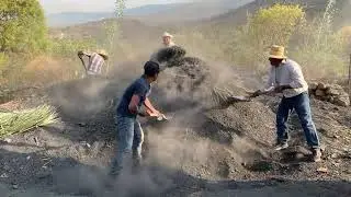Cooking agave for mezcal in Santa Mar&iacute;a Ixcatl&aacute;n, Oaxaca, Mexico