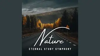 Eternal Study Symphony