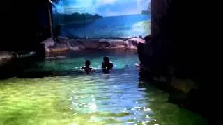 Mermaids at Myrtle Beach Aquarium