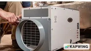 Will Running A Dehumidifier Kill Mold