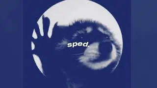 Jaxomy, Agatino Romero, Raffaella Carrà - PEDRO ❖ sped up ❖