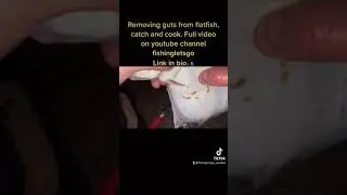 Flatfish gut removal easy