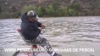 SILURO LANCE WWW.PENAELSILURO.COM(GUIAS DE PESCA)
