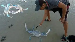 berburu kepiting di laut di sa'at air surut