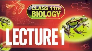 Class-11 NEB (Biology)  Introduction on Frog  In Nepali || NextGen Nepal