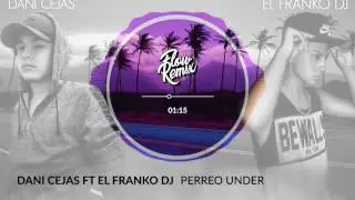 Dani Cejas ft El Franko DJ - Perreo Under (Flowremix 2017)