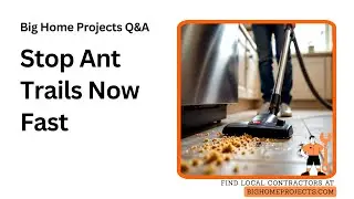 Vacuum Trail Removal Gel Bait Strategy for Ants