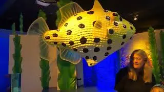 SEA LIFE Kelly Tarlton's Aquarium, New Zealand, 2025