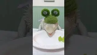 My son enjoyed this video animal eating mukbang