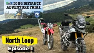Triumph Tiger 900 Rally Pro | #D2D #offroad #rallypro #triumphtiger #tigeroffroad #fyp