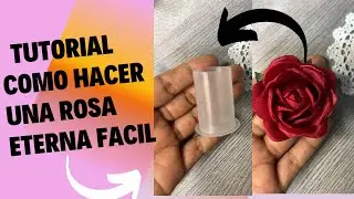 IDEA F&Aacute;CIL DE HACER ROSA ETERNA