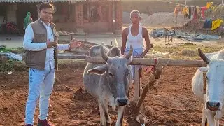 technical farming.🥔🥔potato cultivation 🥔