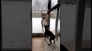 Ой