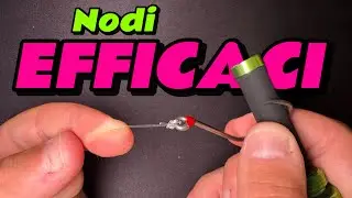 Tutorial NODI da PESCA - Traina con il vivo