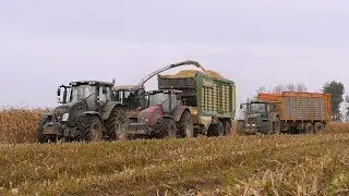 Koszenie kukurydzy 2017 Kukurydza Podlasie I Claas I Fendt I Valtra I McCormick I LechPol