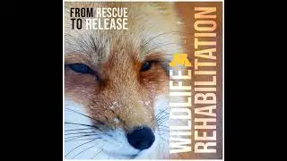 S5E7 Austin Bat Refuge with Dianne Odegard and Lee Mackenzie Part 1