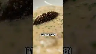 The Most Famous 3-Star Michelin Dish?
