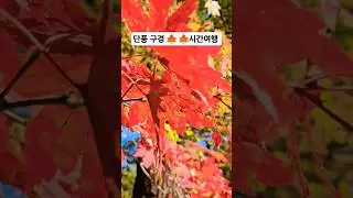 시간 여행 시리즈 ❤️ 😎 👀 ✔️ 춘천 여행, 청평사 방문 #트로트 #나랑가요 #박서진 #여행 #여행브이로그 #강원도여행 #시간여행 #공간여행 #춘천여행 #청평사 #단풍나무