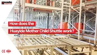 Automated Shuttle Pallet ASRS
