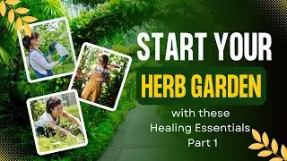 Start Your Herb Garden with these Healing Essentials - Part1