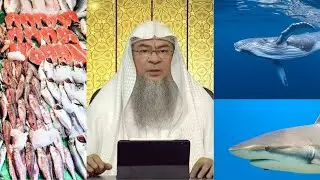 Are Seafood's Haram or Halal including Sharks and Whales #assim al hakeem #religion #information
