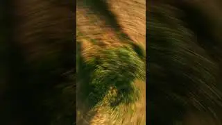 🌳 Tellement SMOOTH 🙂&zwj;↕️ #fpv #drone #cinematic #naturevibes #fpvdrone #fpvlife #field #fpvpilot