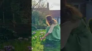 The magic of March ☀️🌷🌱 #garden #cottage #ducks