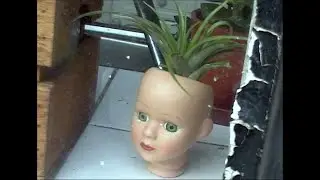 Short Film Block A: The Plant Collector (Trailer)