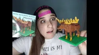 Moose Nano Block Build