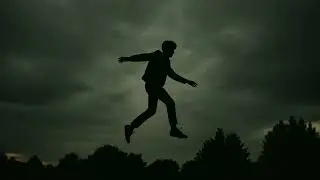 Fly without you - LMDT
