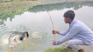 New Best Hook Fishing Video | Traditional Fish Catch With Hook in pond #fish