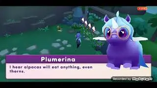 Wildsong friends with animals!!!🦄💖💖Part 1😁❤❤❤NEW GAME!❤