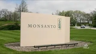 Merging Companies