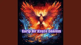 Garip Bir Kuştu Gönlüm