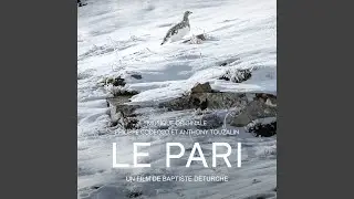 Combat de coq