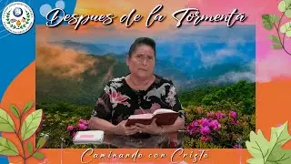 Después de la tormenta - Caminando con Cristo