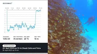 Shaab Eshta and Petra, Hurghada - Diving 28.04.2023