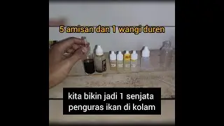 oplosan essen ikan mas aroma durian mudah simpel fan JOS