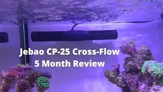 Jebao/Jecod CP-25 Cross Flow Gyre - 5 Month Review and XL200 Update!