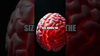 Seeing Depth Anew: The Ponzo Illusion Episode