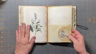 Nature’s Remedies Flip Through